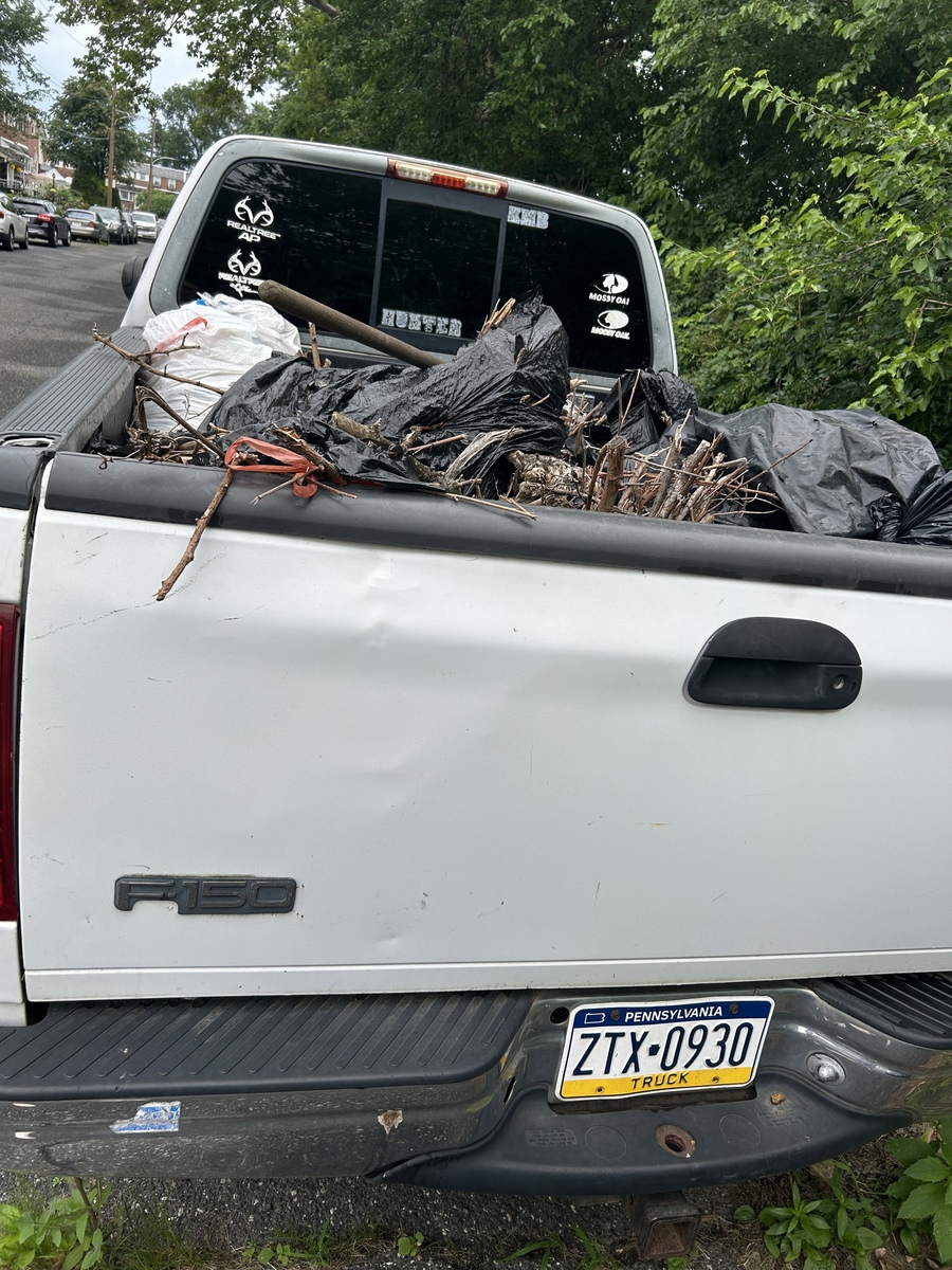 Photographic documentation of the work as submitted to the city's 311 record.