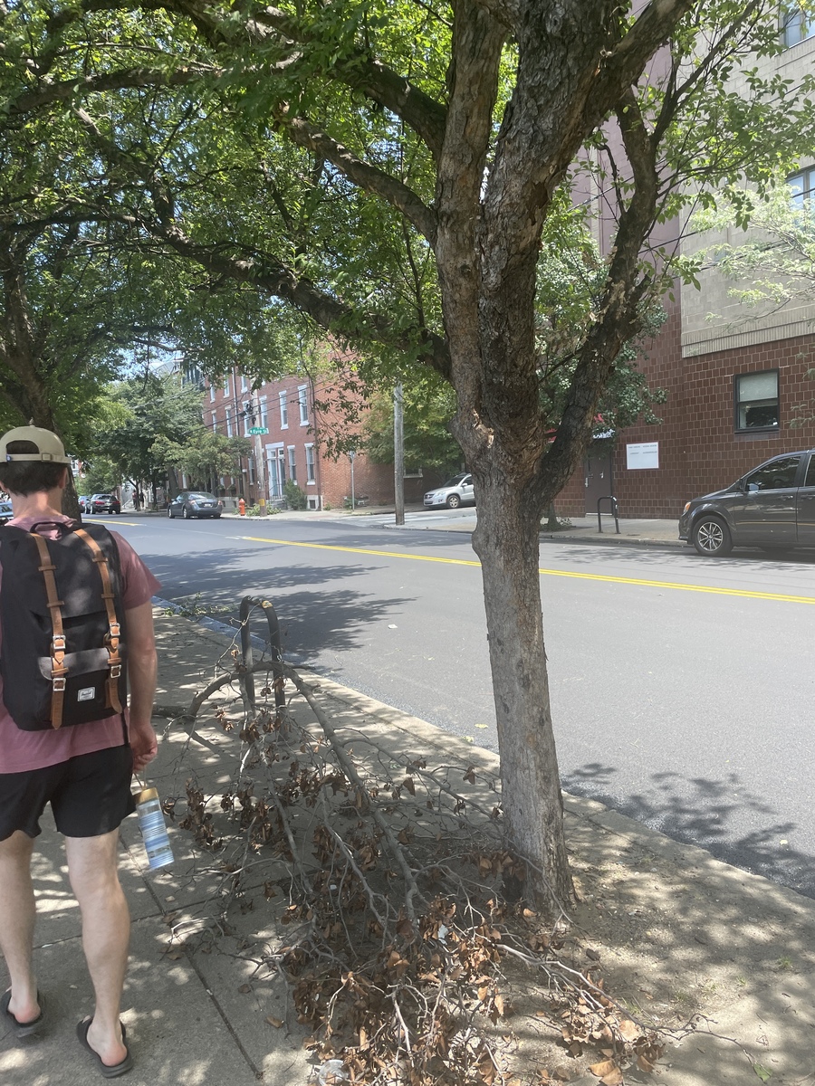 Photographic documentation of the work as submitted to the city's 311 record.