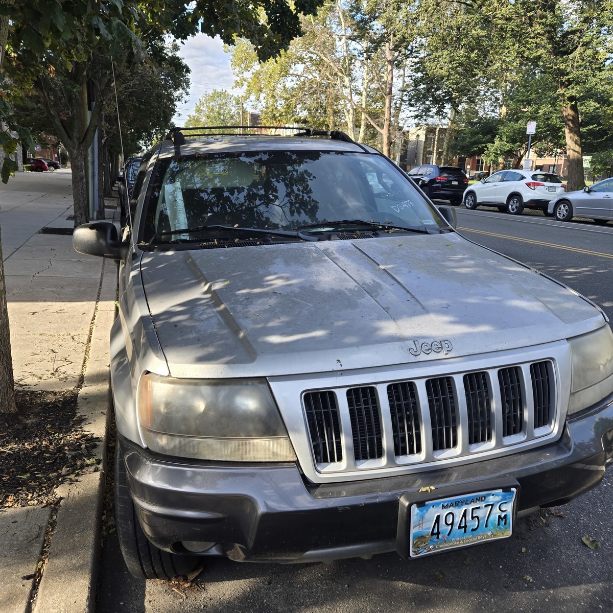 Photographic documentation of the work as submitted to the city's 311 record.