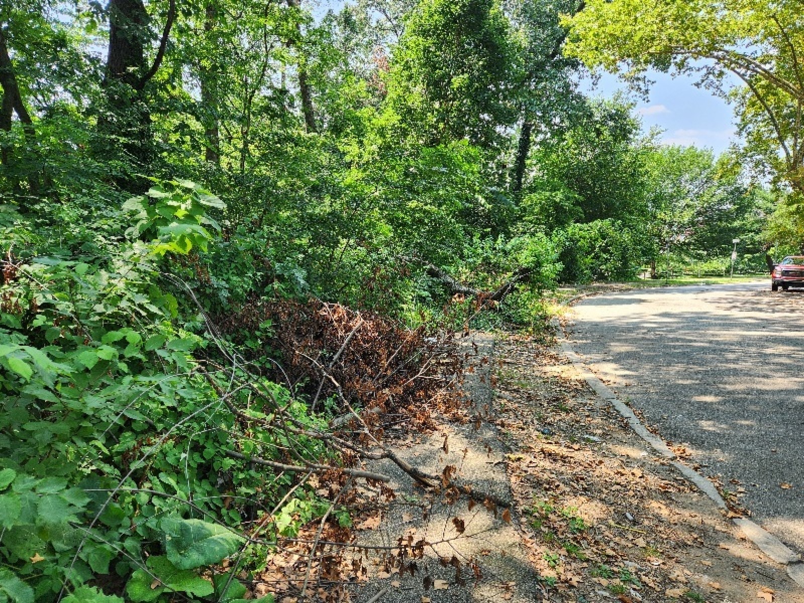 Photographic documentation of the work as submitted to the city's 311 record.