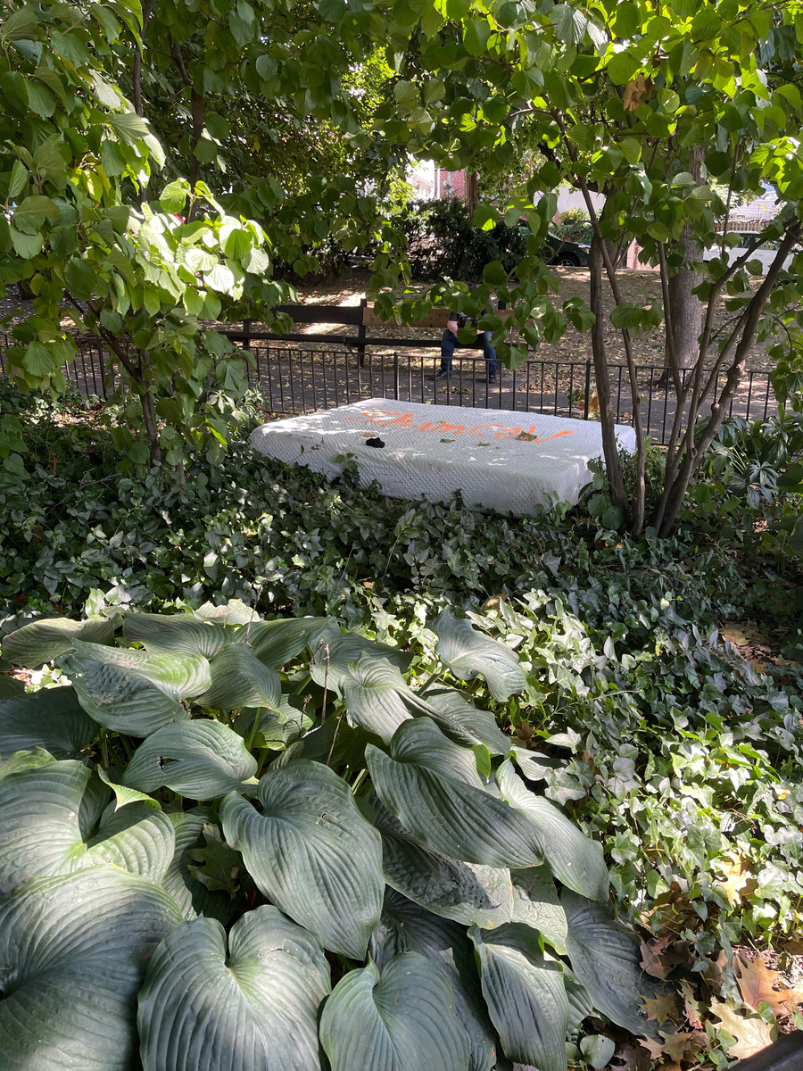 Photographic documentation of the work as submitted to the city's 311 record.