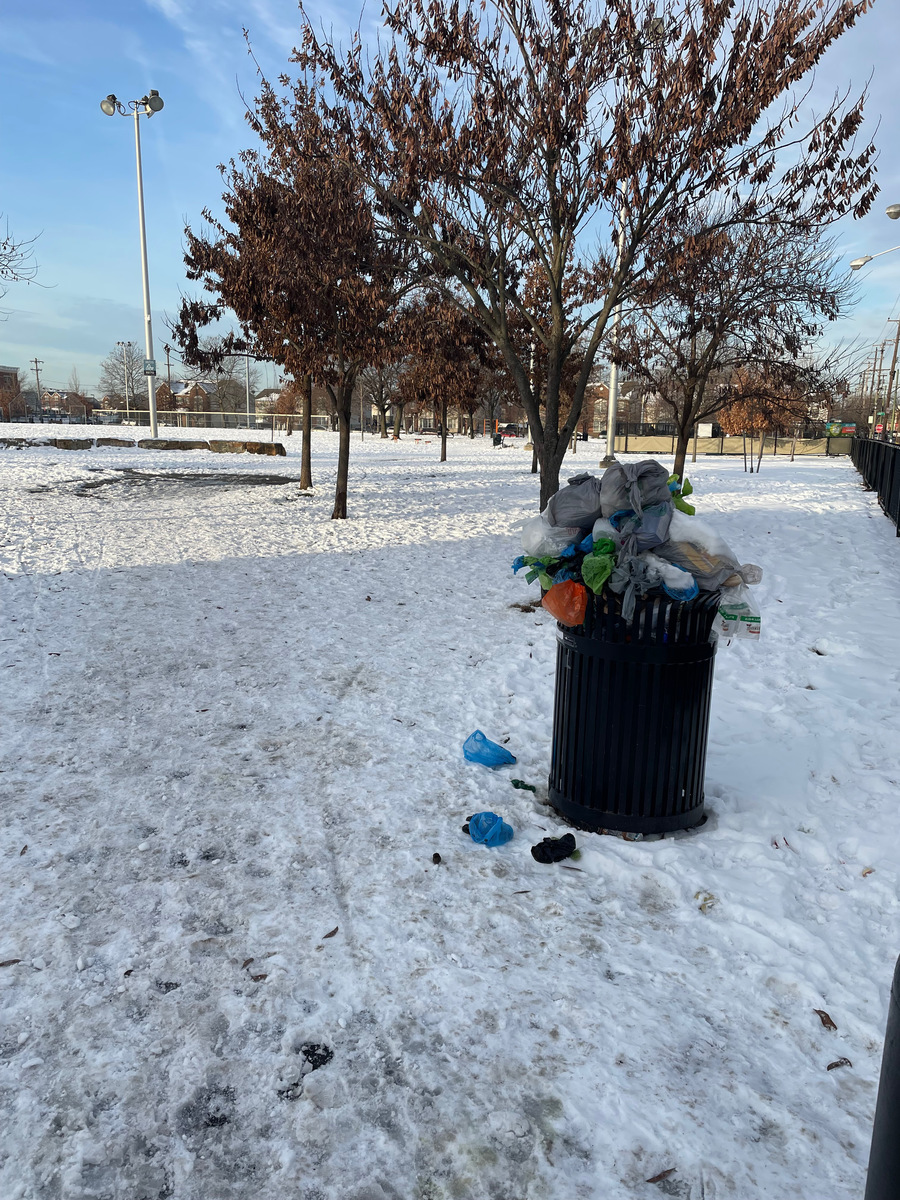 Photographic documentation of the work as submitted to the city's 311 record.