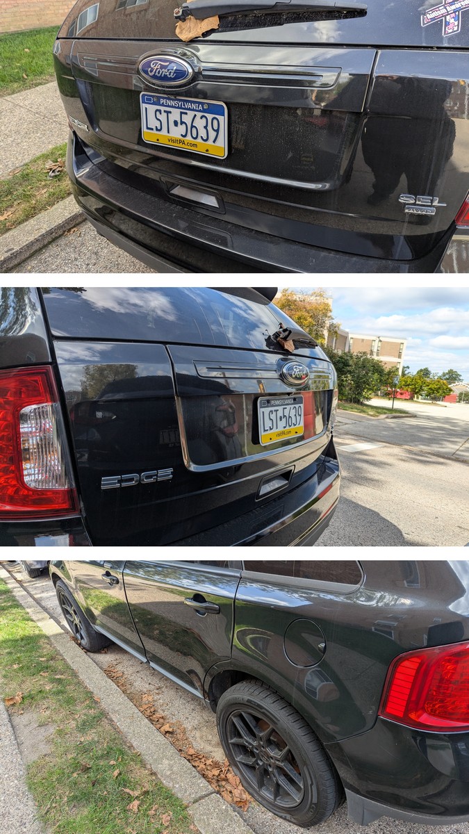 Photographic documentation of the work as submitted to the city's 311 record.
