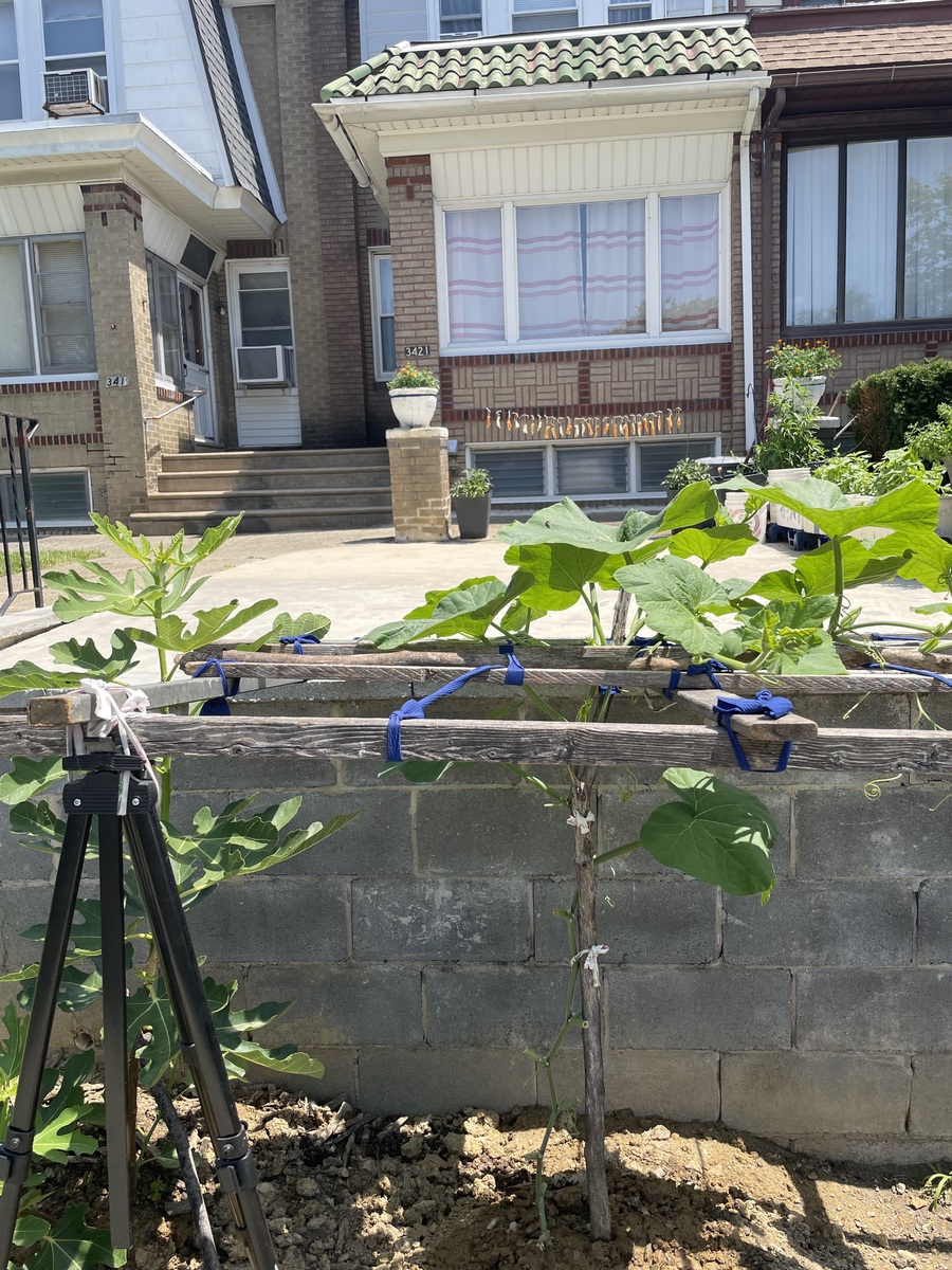 Photographic documentation of the work as submitted to the city's 311 record.