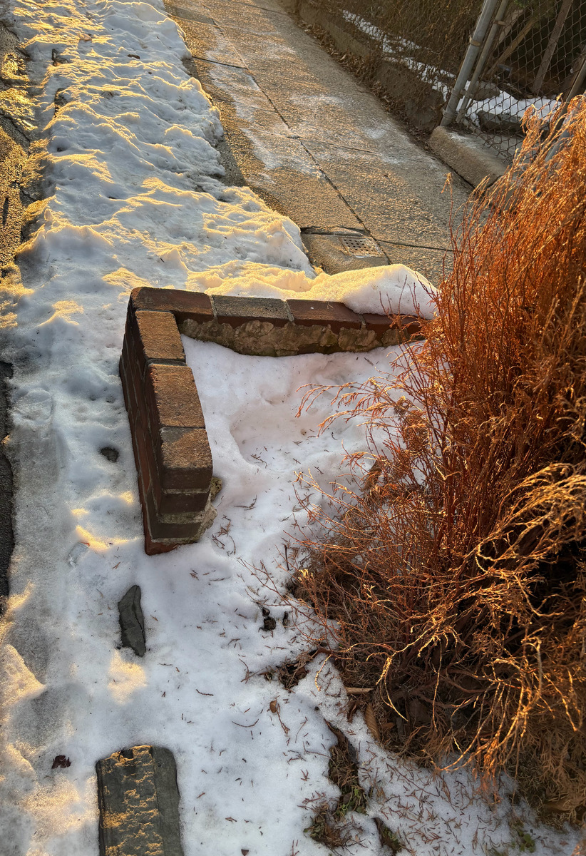 Photographic documentation of the work as submitted to the city's 311 record.