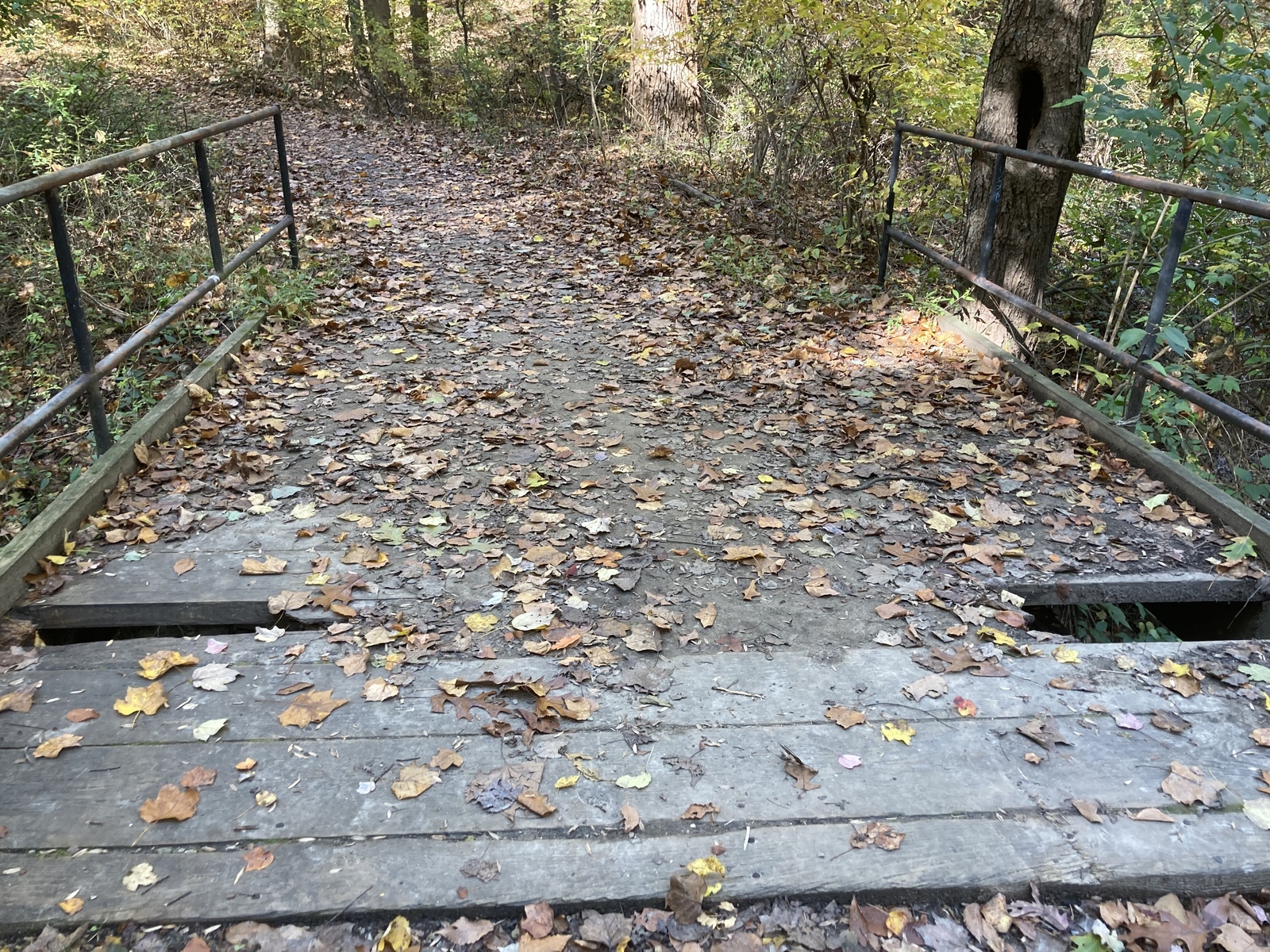 Photographic documentation of the work as submitted to the city's 311 record.