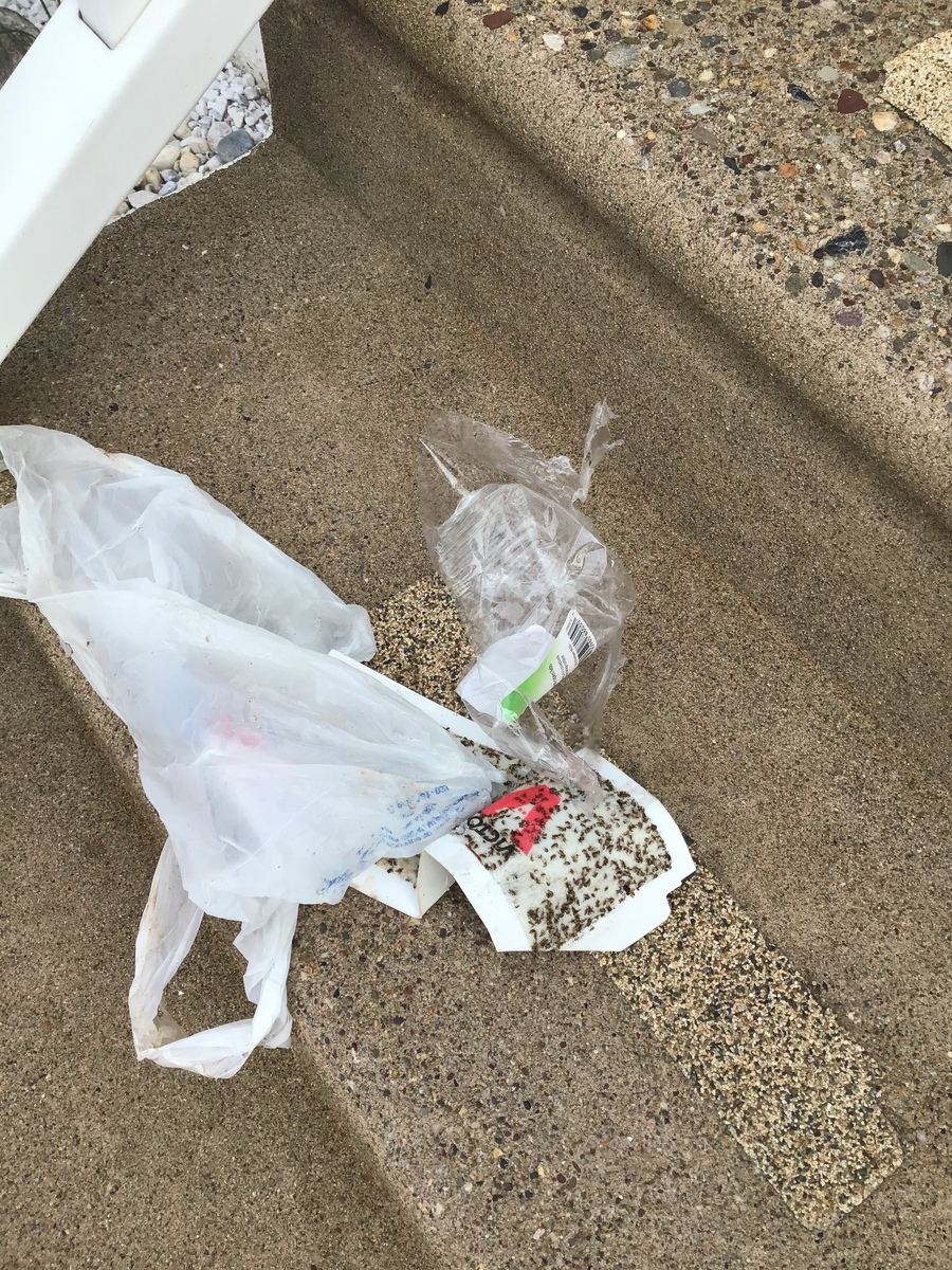 Photographic documentation of the work as submitted to the city's 311 record.