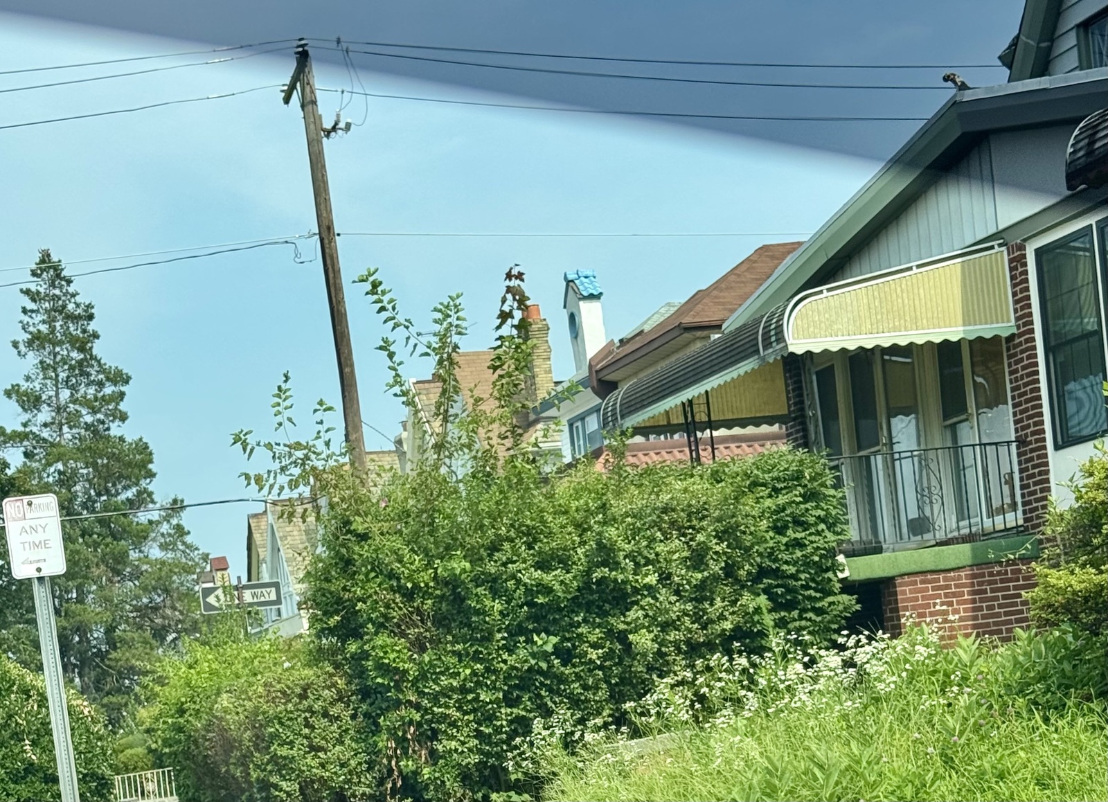 Photographic documentation of the work as submitted to the city's 311 record.