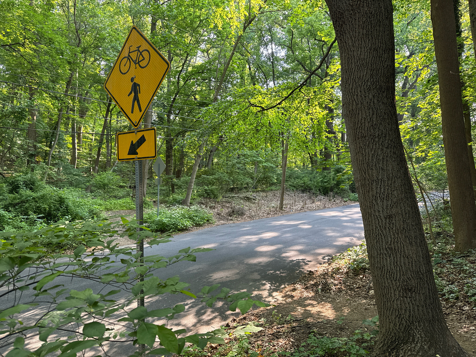 Photographic documentation of the work as submitted to the city's 311 record.