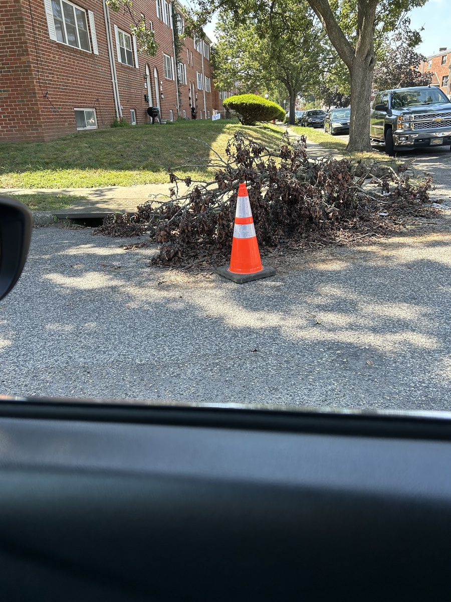 Photographic documentation of the work as submitted to the city's 311 record.