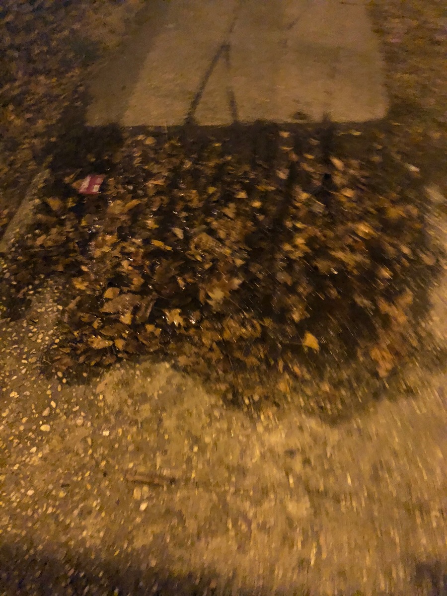 Photographic documentation of the work as submitted to the city's 311 record.
