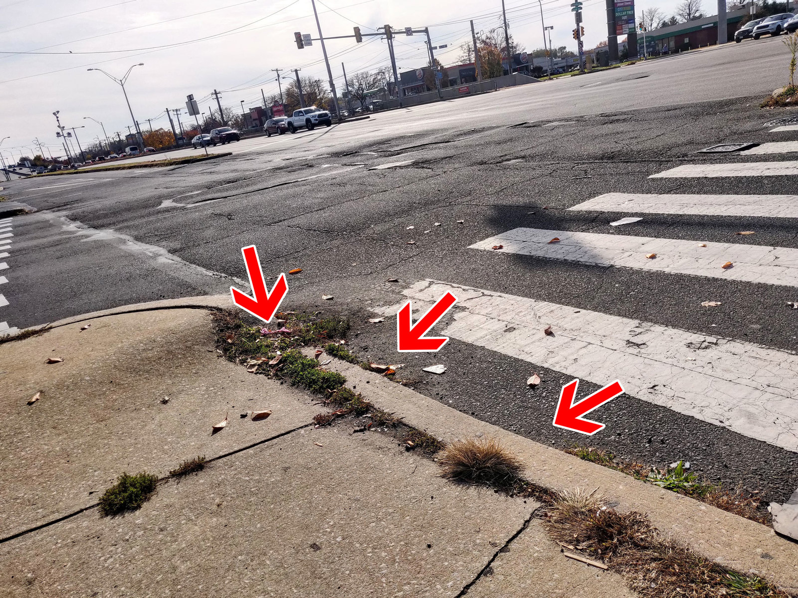 Photographic documentation of the work as submitted to the city's 311 record.