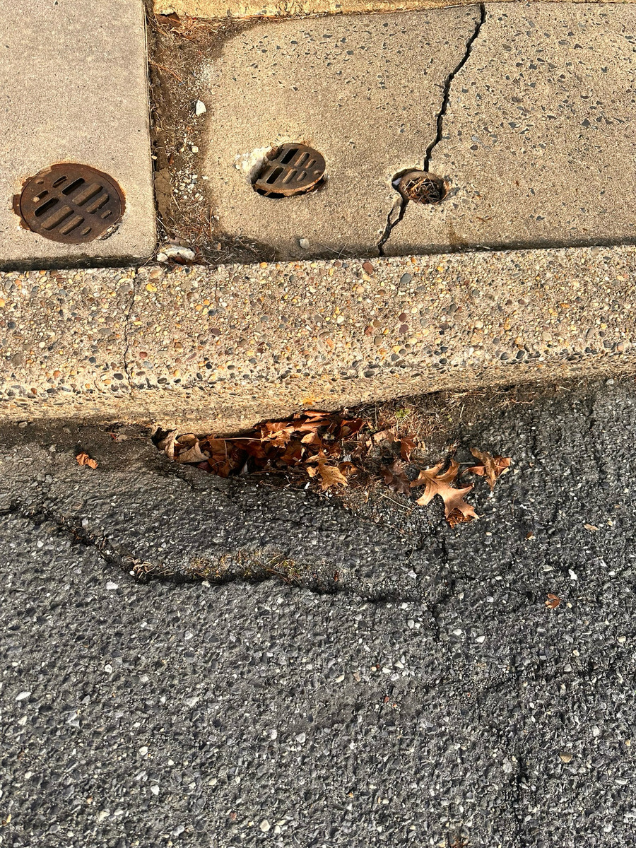 Photographic documentation of the work as submitted to the city's 311 record.