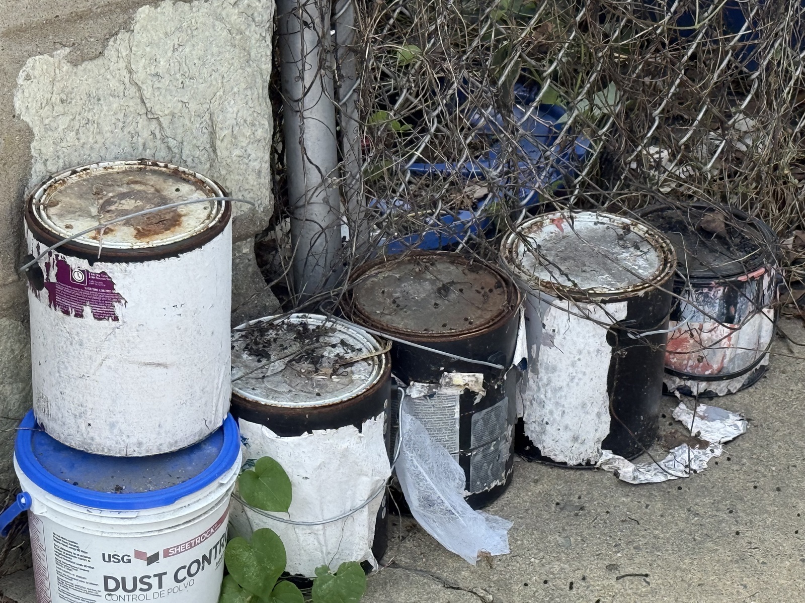 Photographic documentation of the work as submitted to the city's 311 record.