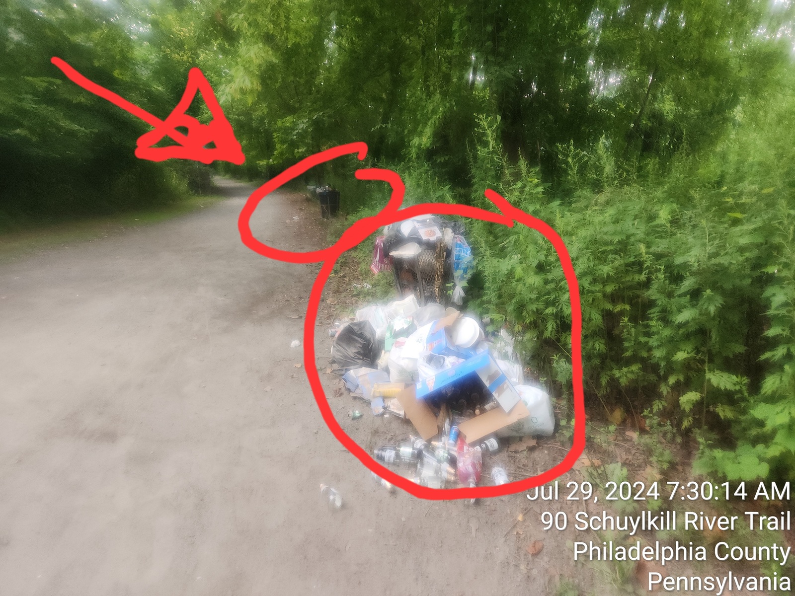Photographic documentation of the work as submitted to the city's 311 record.