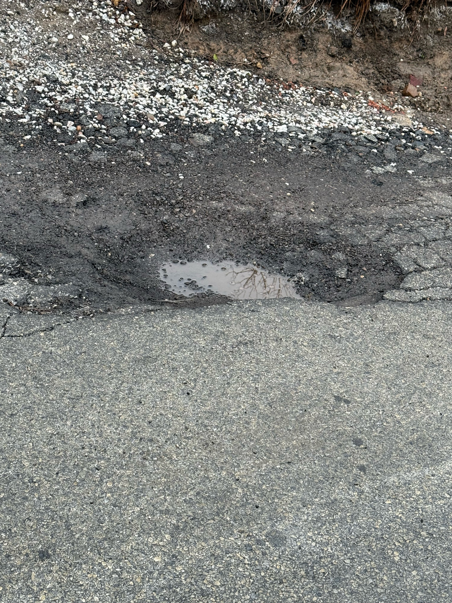 Photographic documentation of the work as submitted to the city's 311 record.