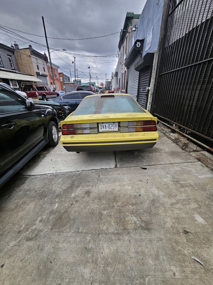 Photographic documentation of the work as submitted to the city's 311 record.