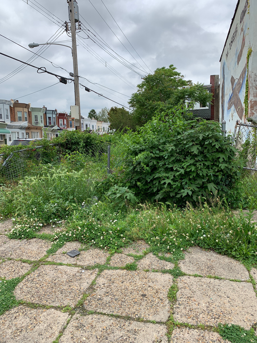Photographic documentation of the work as submitted to the city's 311 record.