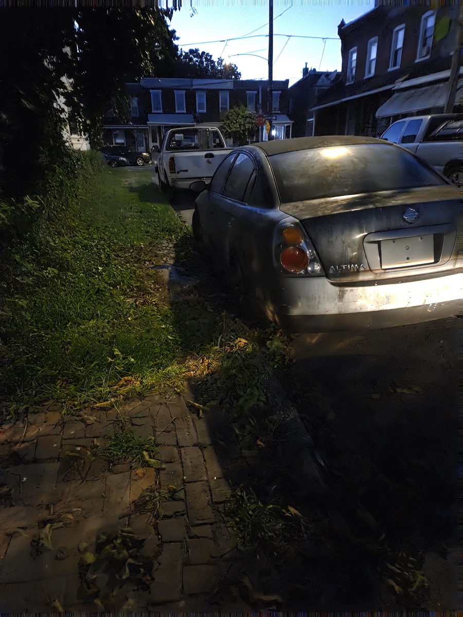 Photographic documentation of the work as submitted to the city's 311 record.