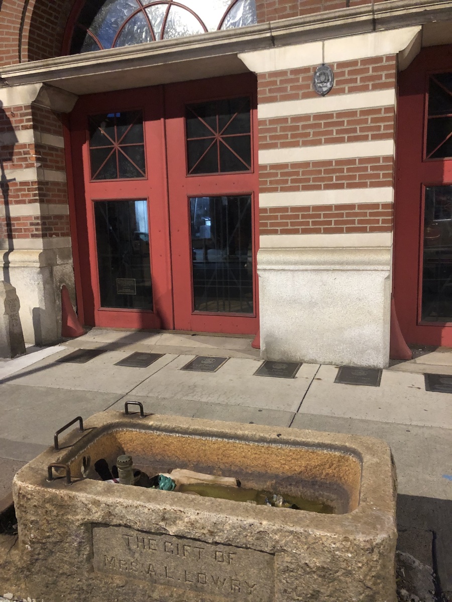 Photographic documentation of the work as submitted to the city's 311 record.