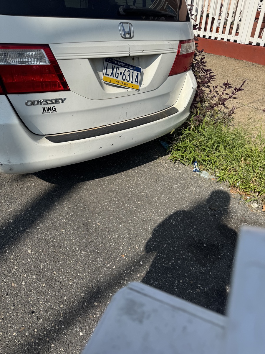 Photographic documentation of the work as submitted to the city's 311 record.