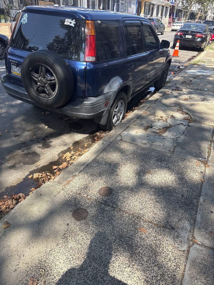 Photographic documentation of the work as submitted to the city's 311 record.