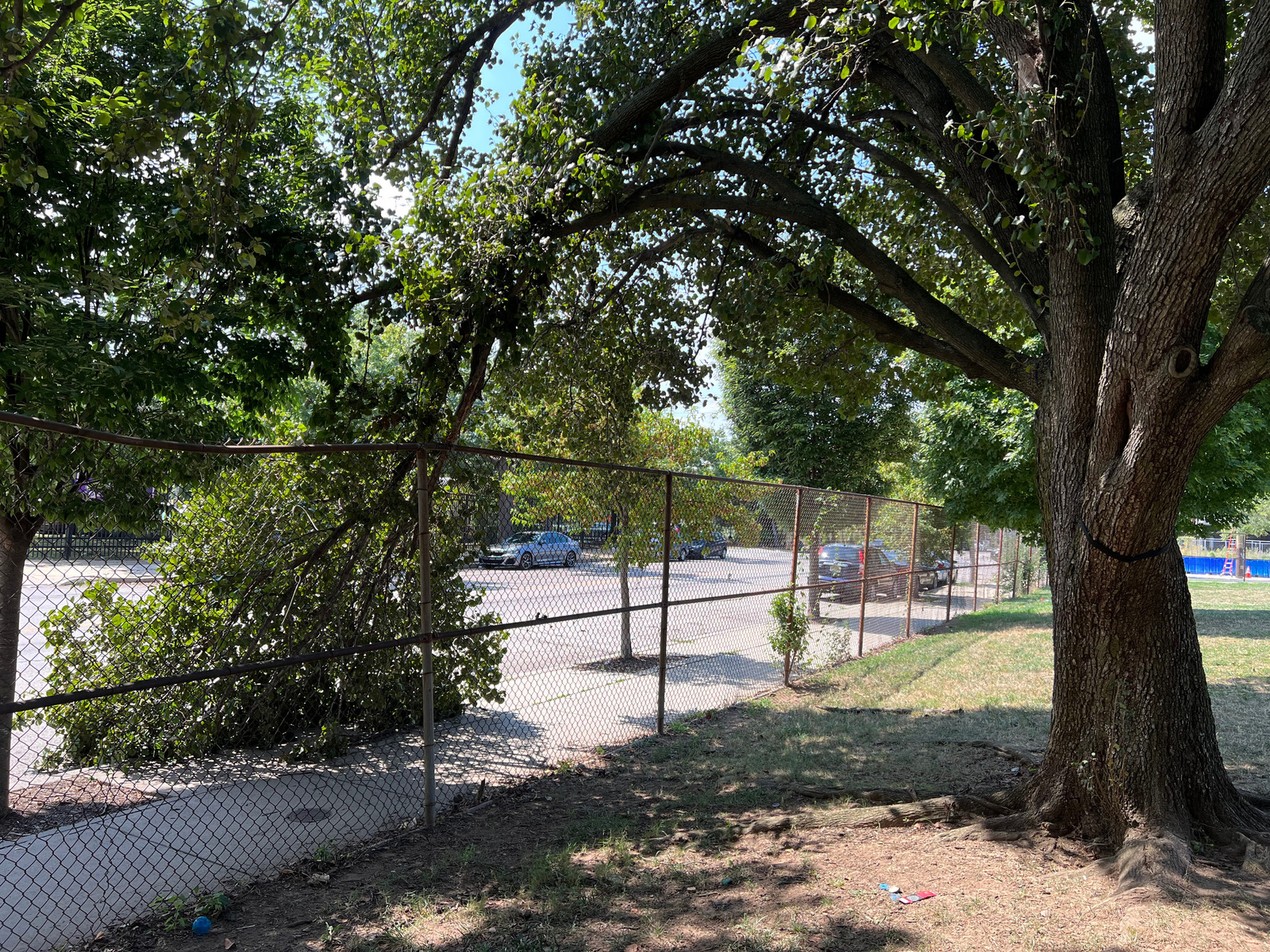 Photographic documentation of the work as submitted to the city's 311 record.