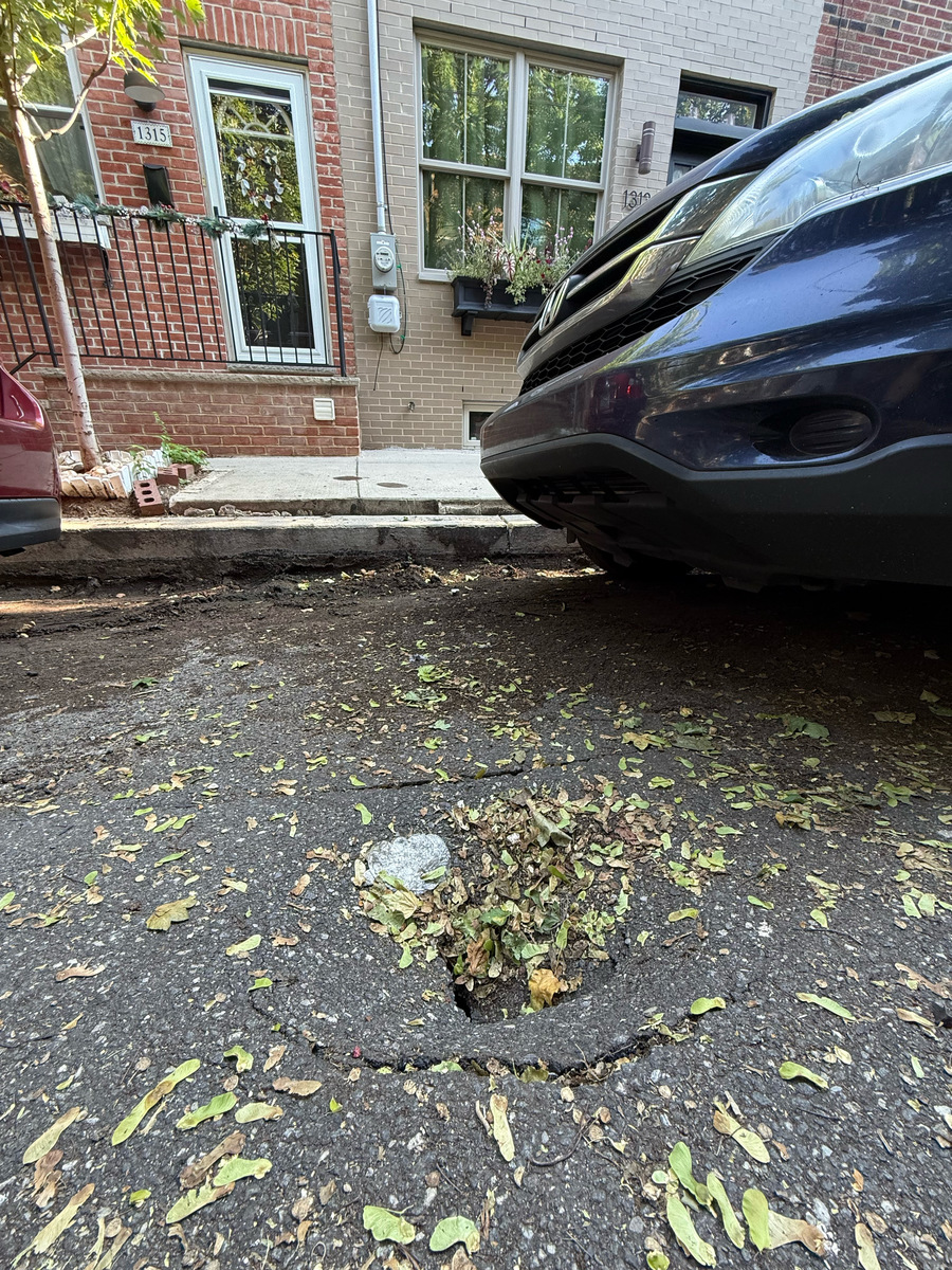 Photographic documentation of the work as submitted to the city's 311 record.