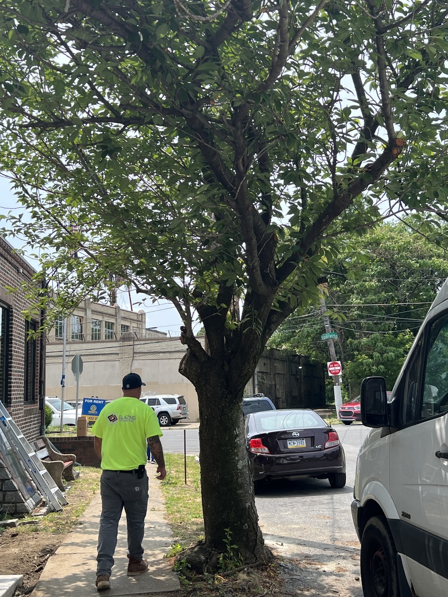 Photographic documentation of the work as submitted to the city's 311 record.