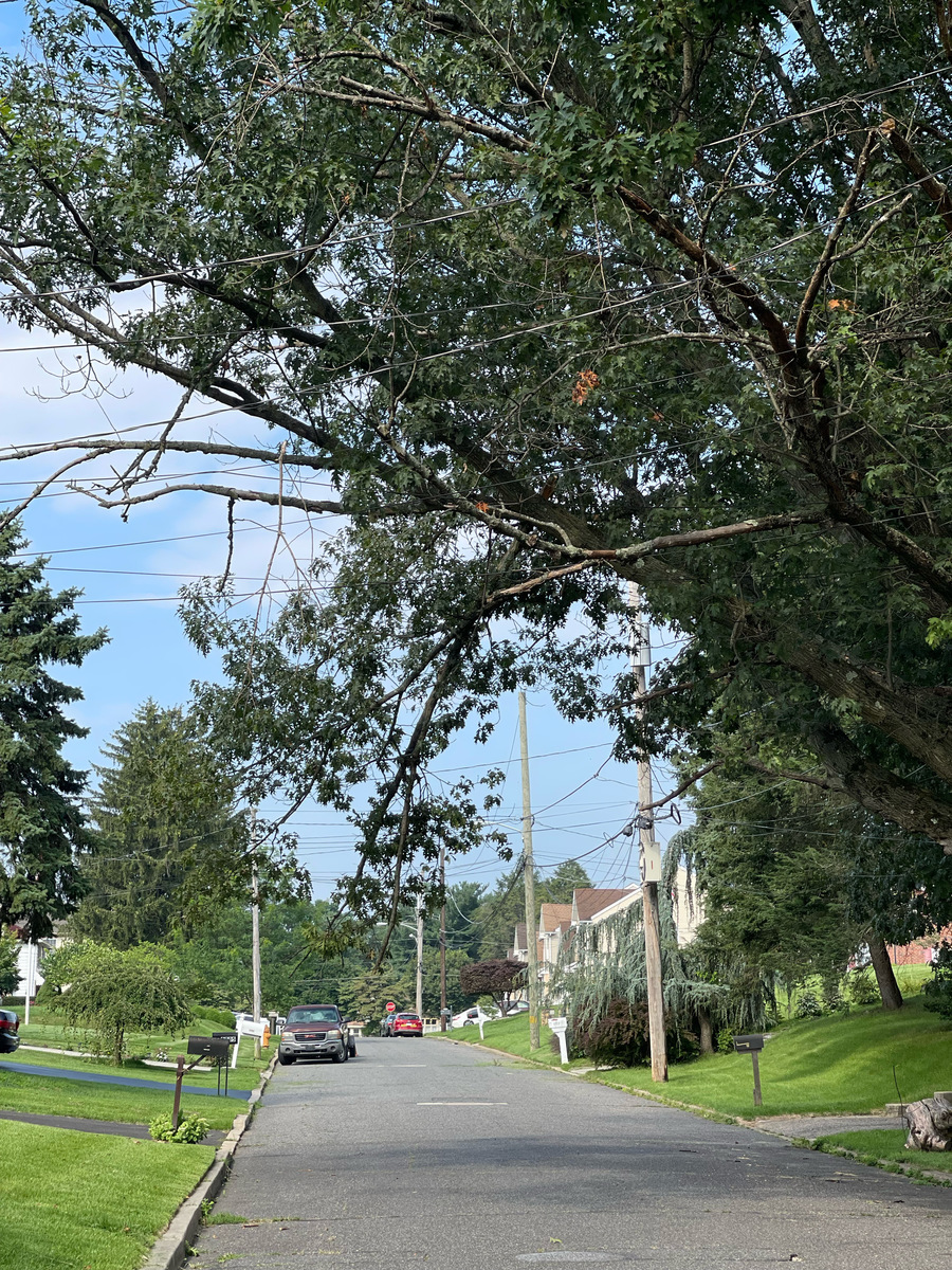 Photographic documentation of the work as submitted to the city's 311 record.