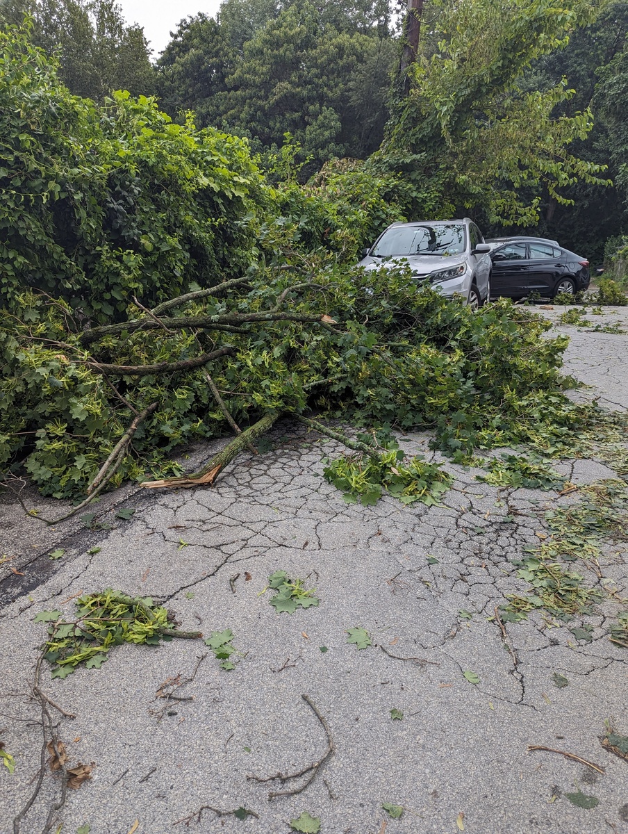 Photographic documentation of the work as submitted to the city's 311 record.