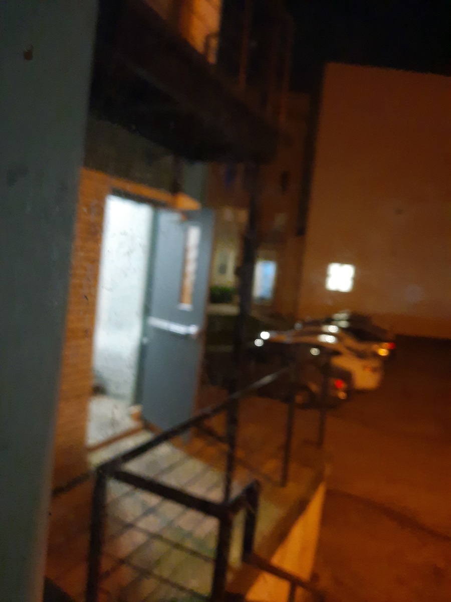 Photographic documentation of the work as submitted to the city's 311 record.