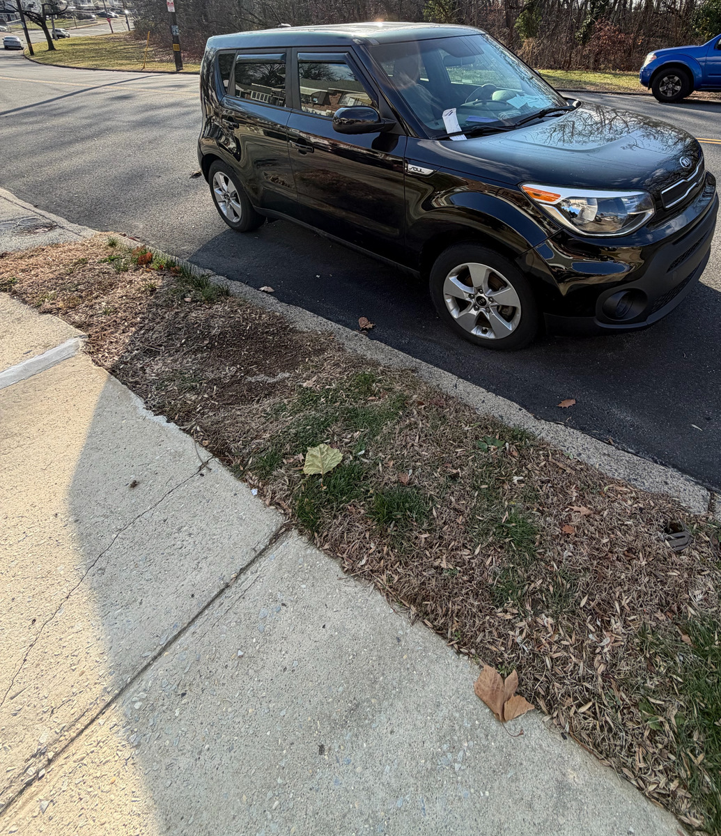 Photographic documentation of the work as submitted to the city's 311 record.