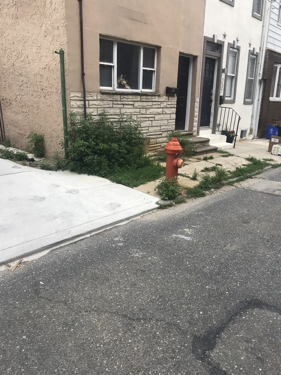 Photographic documentation of the work as submitted to the city's 311 record.
