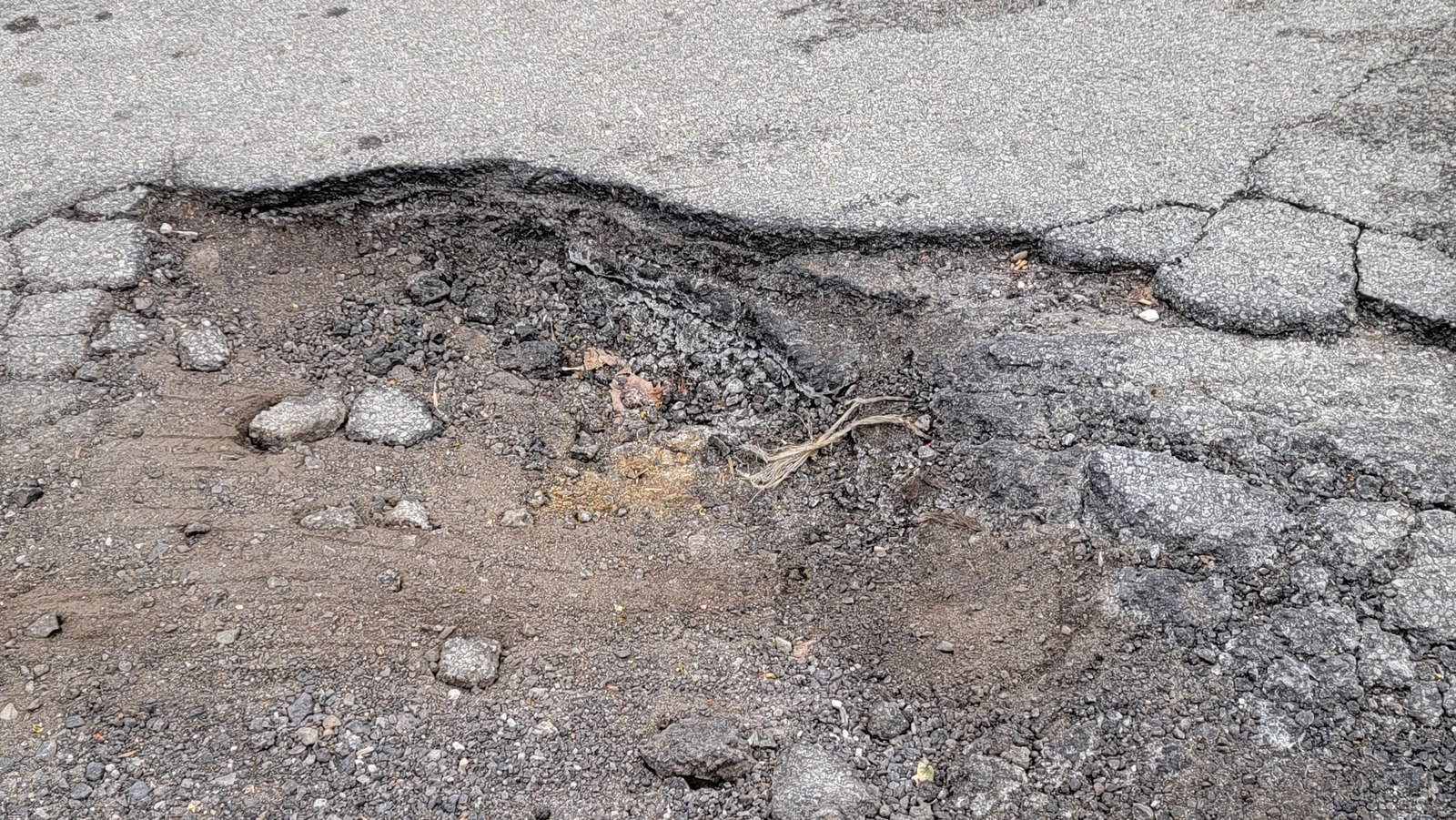 Photographic documentation of the work as submitted to the city's 311 record.
