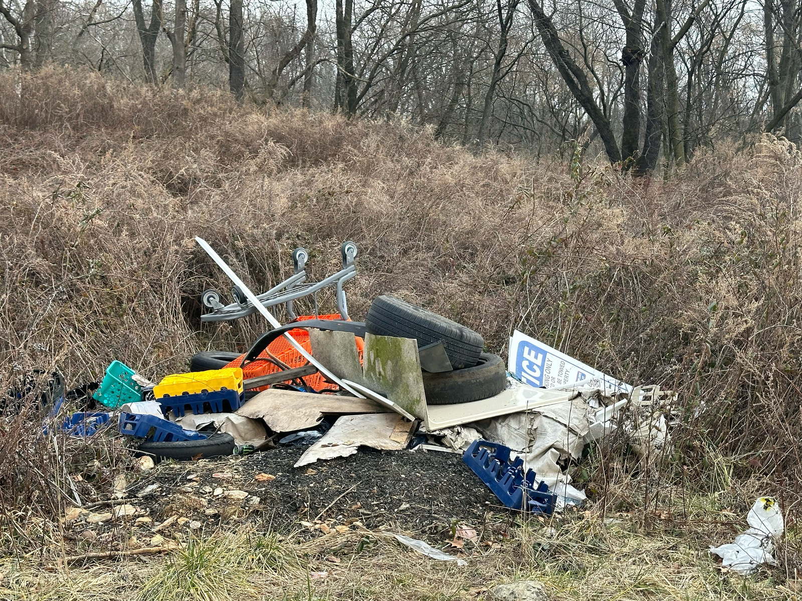 Photographic documentation of the work as submitted to the city's 311 record.
