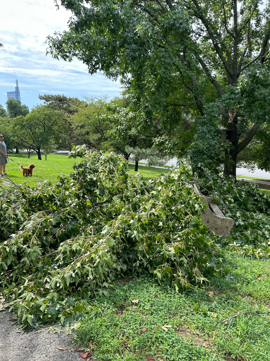 Photographic documentation of the work as submitted to the city's 311 record.