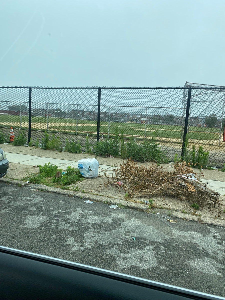 Photographic documentation of the work as submitted to the city's 311 record.