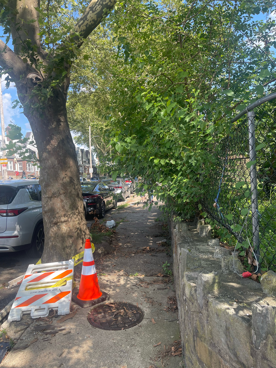 Photographic documentation of the work as submitted to the city's 311 record.