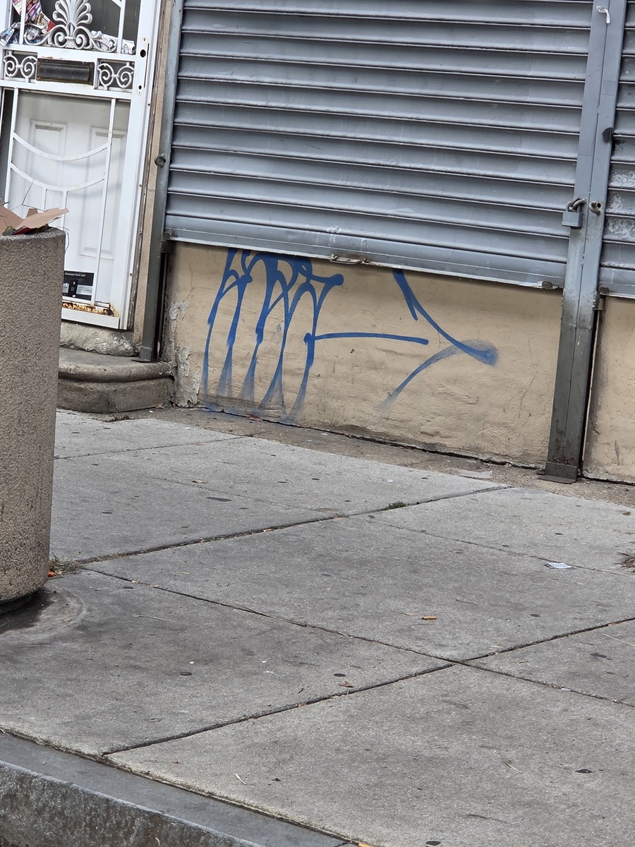 Photographic documentation of the work as submitted to the city's 311 record.