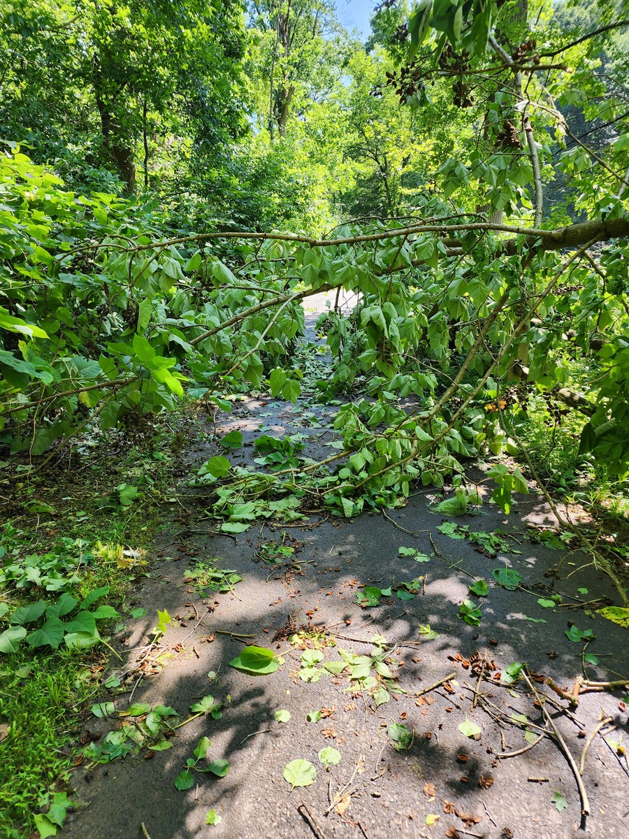 Photographic documentation of the work as submitted to the city's 311 record.
