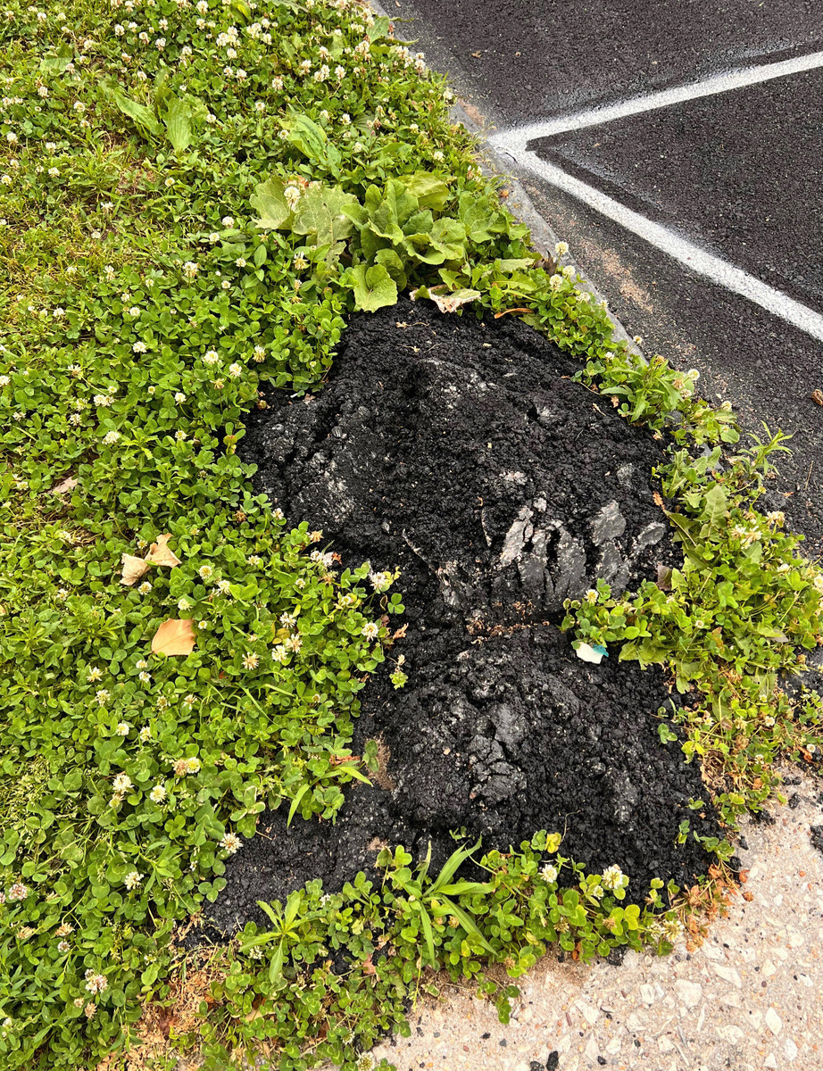Photographic documentation of the work as submitted to the city's 311 record.