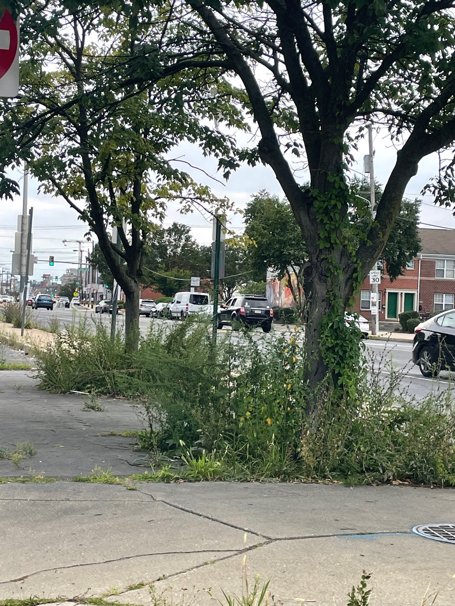 Photographic documentation of the work as submitted to the city's 311 record.