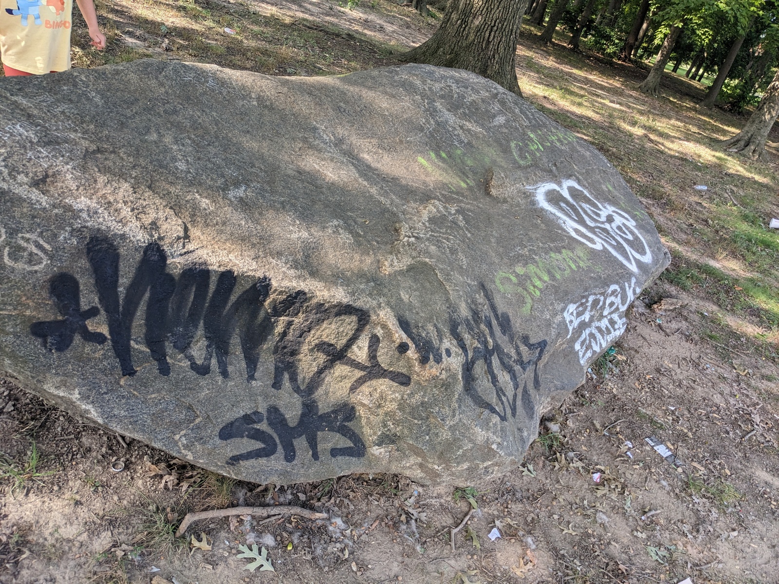 Photographic documentation of the work as submitted to the city's 311 record.