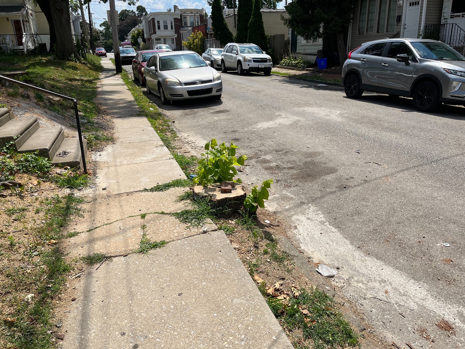 Photographic documentation of the work as submitted to the city's 311 record.