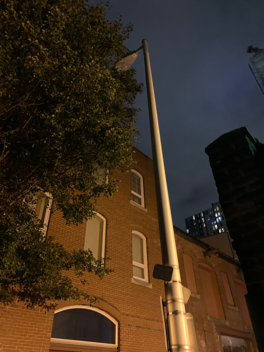 Photographic documentation of the work as submitted to the city's 311 record.