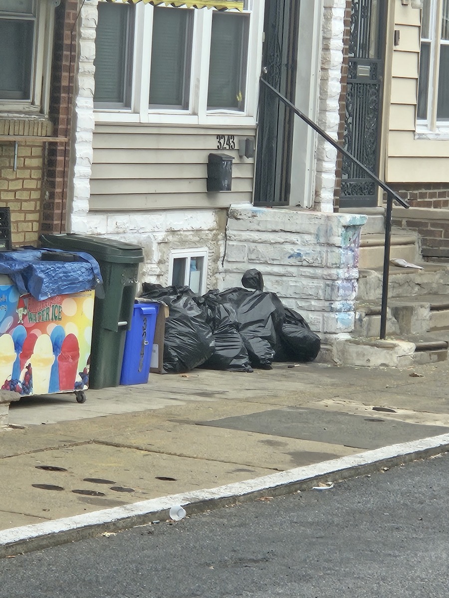 Photographic documentation of the work as submitted to the city's 311 record.