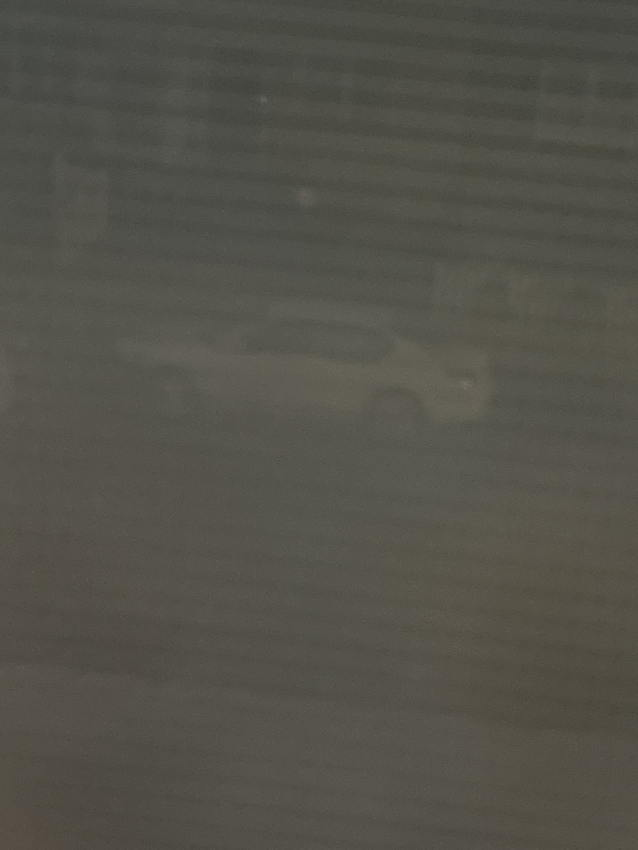 Photographic documentation of the work as submitted to the city's 311 record.