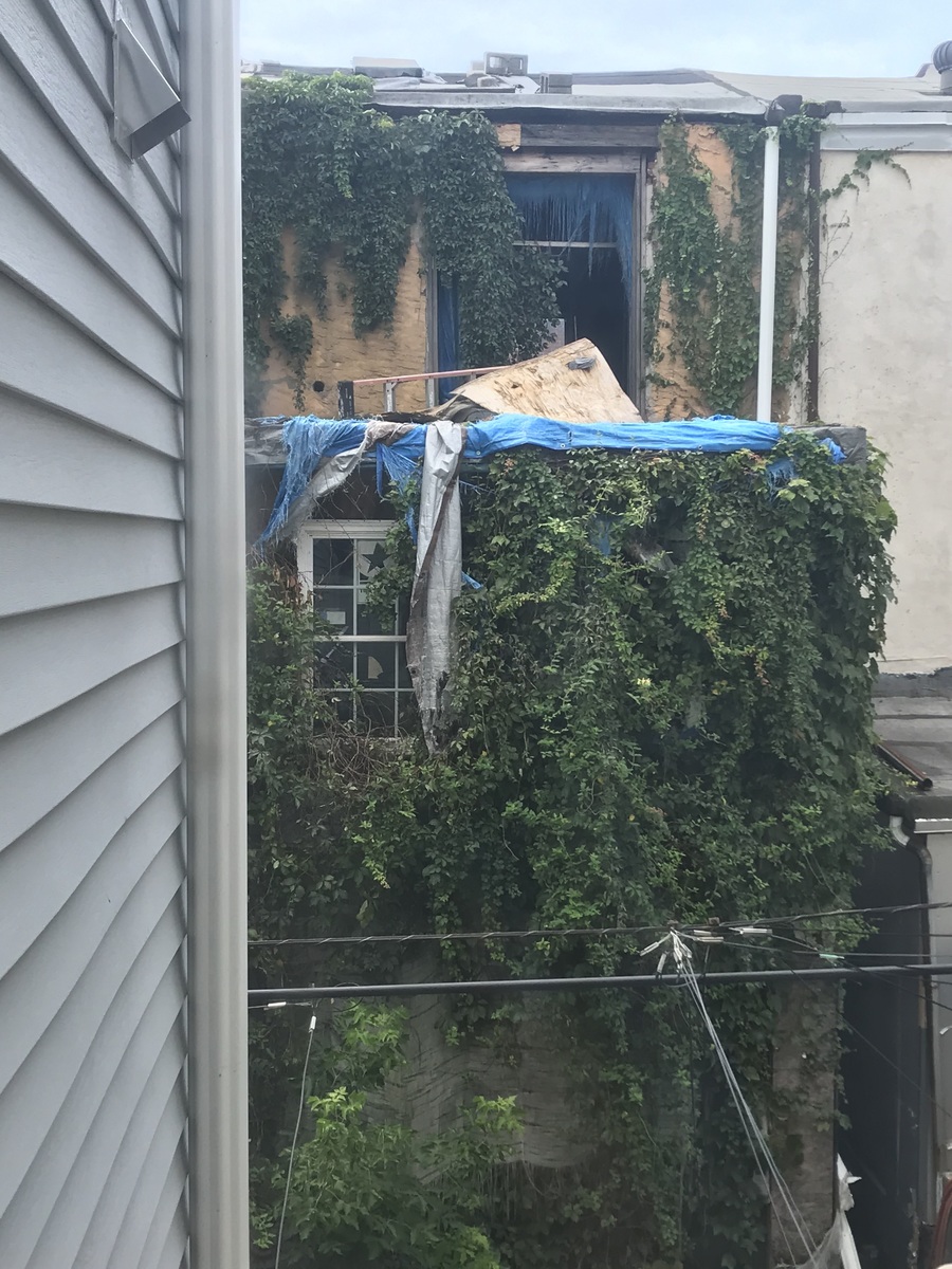 Photographic documentation of the work as submitted to the city's 311 record.
