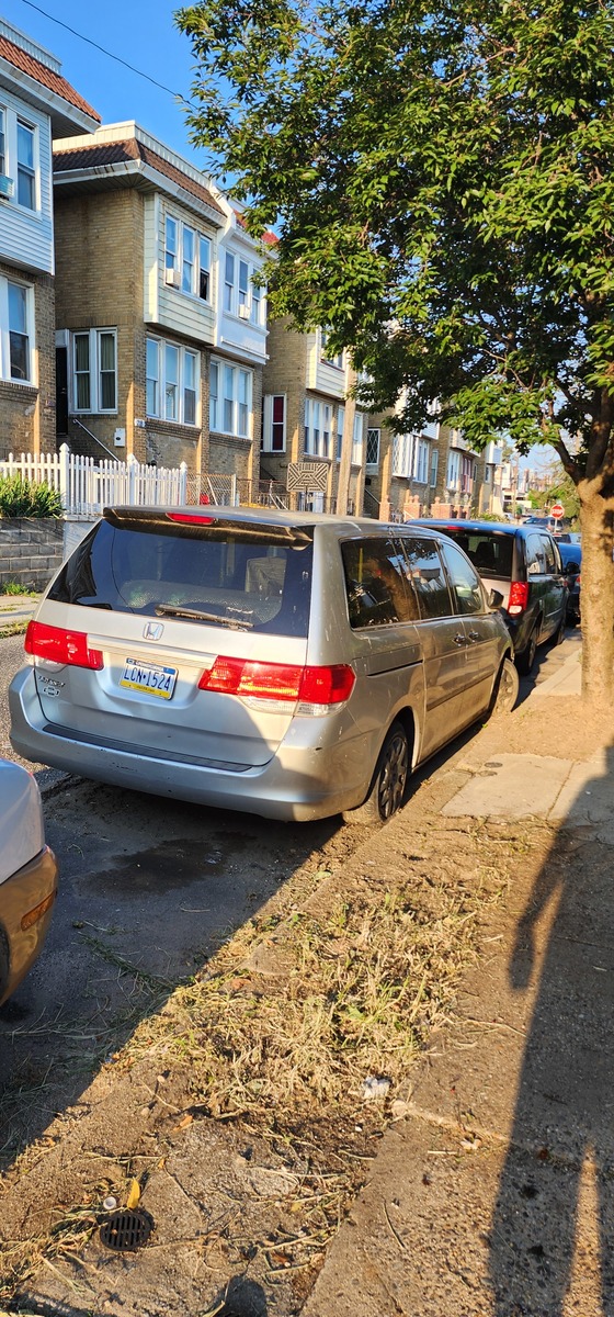 Photographic documentation of the work as submitted to the city's 311 record.
